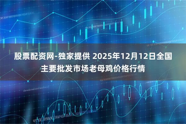 股票配资网-独家提供 2025年12月12日全国主要批发市场老母鸡价格行情