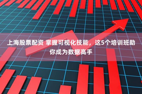 上海股票配资 掌握可视化技能，这5个培训班助你成为数据高手